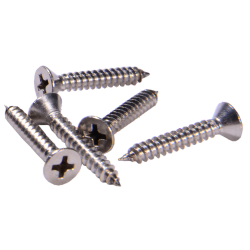 MASTER SS Screw 11/2x8 (F)