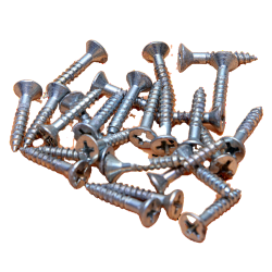 Wood Screw WHITE 1"x 8