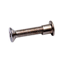 Double Head Screw SS(F)