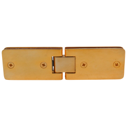 CASA Shower Hinge 1100 Gold Wash