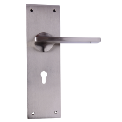IBI Brass Lever Handle On Plate BUD FSS 