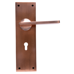 IBI Brass Lever Handle On Plate BUD AC 