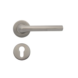 CASA Lever Handle On Rose TH-SH-075 SS-39 