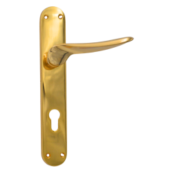 IBI Brass Lever Handle On Plate RAYON CY GP 