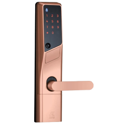 ALPHA Digital Lock WS-200 PINK GOLD ( TH2)