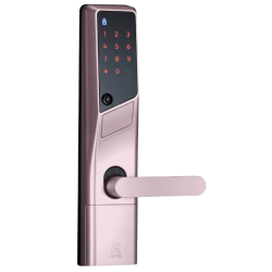 ALPHA Digital Lock WS-200 CHAMGPAGNE GOLD ( TH )